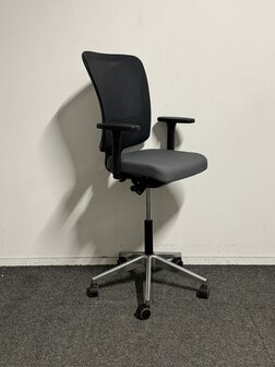 AHREND SQALA - ANTRA STOFF - CH VK