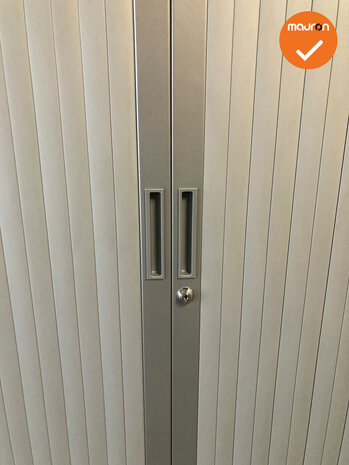 Roldeurkast - Zilvergrijs - 195x120x45cm - Zilvergrijs met zilvergrijze deuren