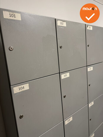 Lockerkast - zilvergrijs - 12 lockers