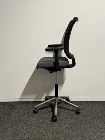 AHREND SQALA - ANTRA STOFF - CH VK