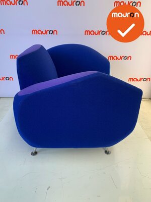 Moroso
