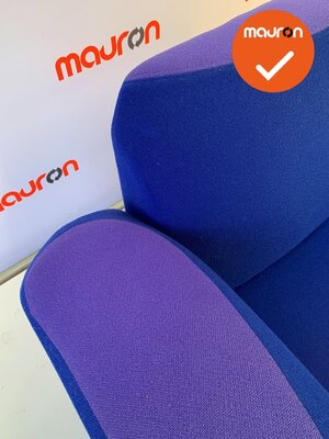 Moroso