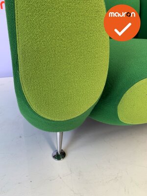 Moroso