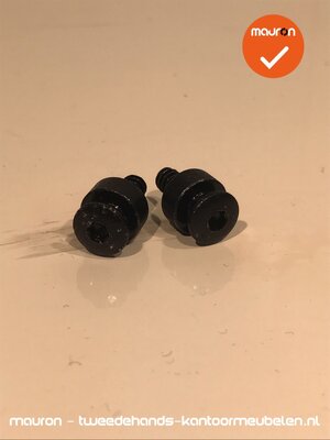 2 schroeven voor Ahrend 500 systeem - T20 - 4,5x10mm - volkern