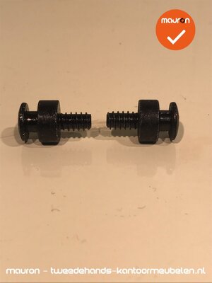 2 schroeven voor Ahrend 500 systeem - T20 - 4,5x10mm - volkern