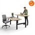 Zit-Sta Duo Bureau - Elektrisch - 180x80cm